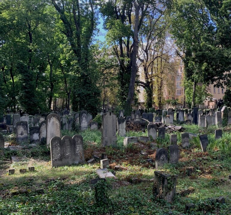 life after death: berlin’s cemeteries turn into urban green spaces